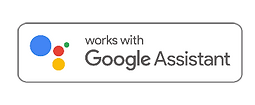 google_assistant.png
